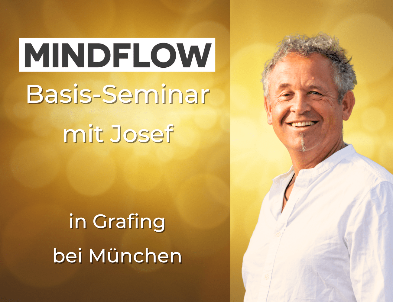 Mindflow Basisseminar (3)